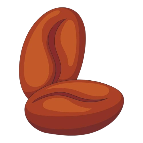 Coffee bean